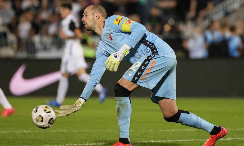 BLIŽI SE POČETAK PRIPREMA Borjan i Zvezda nova epizoda