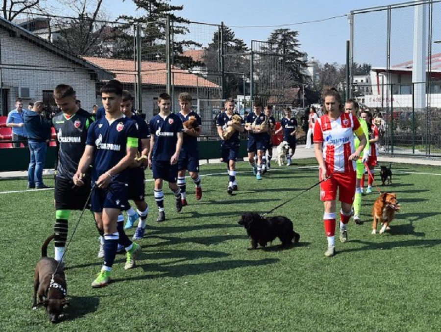 ONI SU ČOVEKOV NAJBOLJI PRIJATELJ Zvezda prikupila pomoć za nezbrinute životinje
