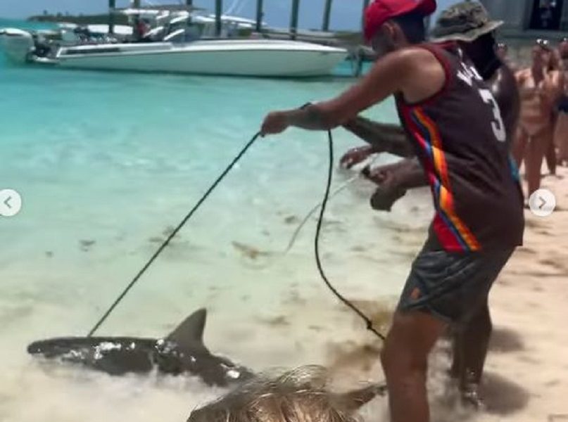 NE BOJI SE NIČEGA Kirjos se na odmoru igrao sa ajkulom (VIDEO)