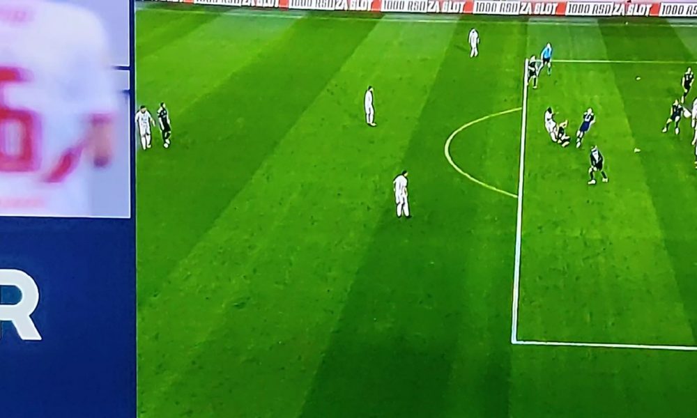 ZVEZDA POVELA IZ PENALA Kangi se ovo ne brani, ubio je pauka (VIDEO)