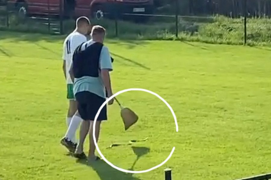 NEVEROVATNO Zmija ušla na teren i prekinula utakmicu u blizini Beograda! (VIDEO)