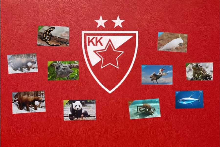 Zvezda na neobičan način predstavila prvo pojačanje… Koristila slike životinja! Evo zašto