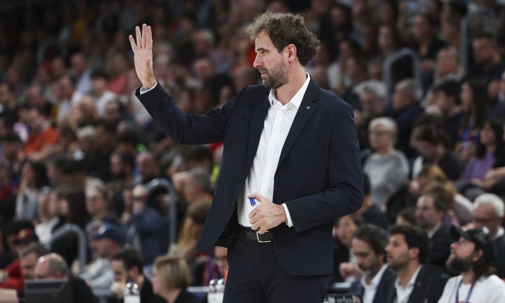 OČEKIVALI SMO OVAKAV MEČ Grimau: Pokazali smo karakter – Zvezda? To je…