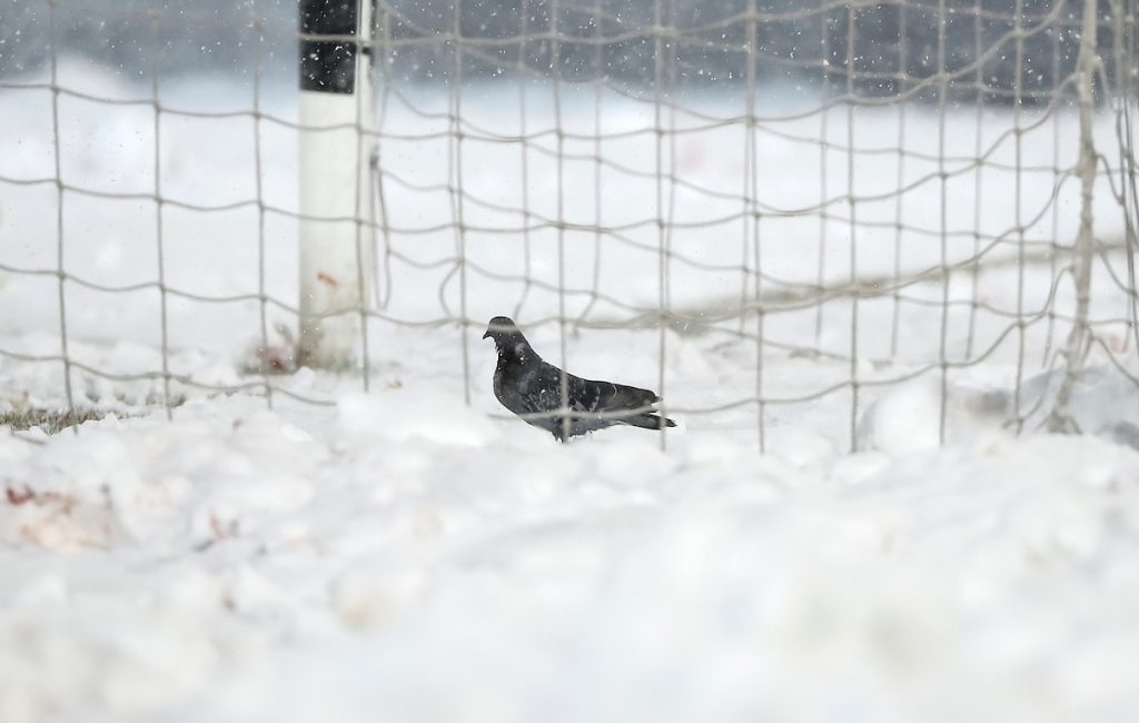 UEFA I GLOBALNO ZAGREVANJE Velika promena u srpskom fudbalu, zaboravite dugu zimsku pauzu!