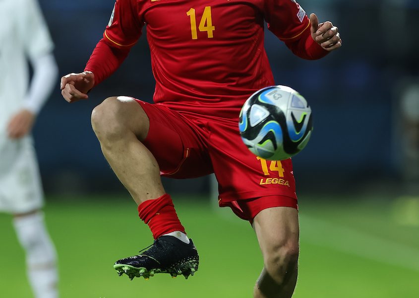 ZAVRŠNI ČIN Posle Rosića i reprezentativac Crne Gore na pragu Vojvodine