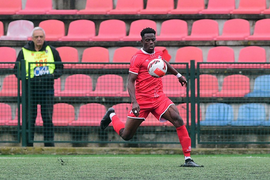 TRANSFER PIJACA Sloboda dovela igrača Zvezde, Nigerijac stigao u Smederevo