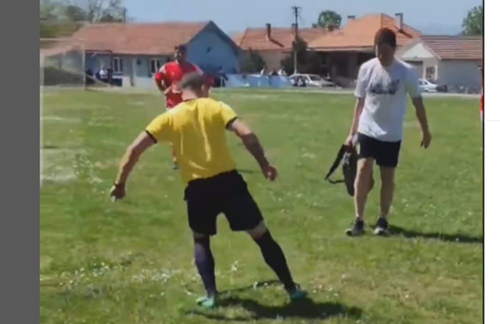 OPASNOST NA TERENU U SRBIJI Zmija prekinula utakmicu, hrabri sudija rešio problem (VIDEO)