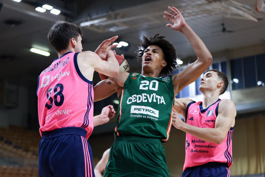 ABA LIGA Robinson i Stjuart srušili Megu u Ljubljani