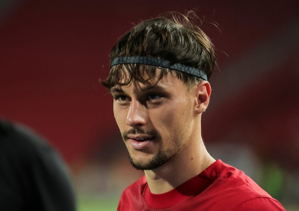 Gotovo je: Birmančević se preselio u Španiju