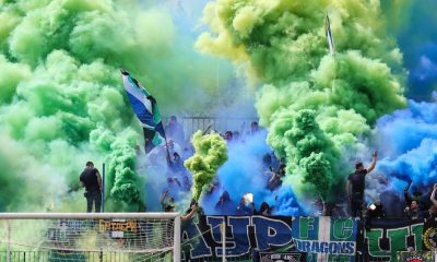 Navijači Zemuna (Foto: Starsport)