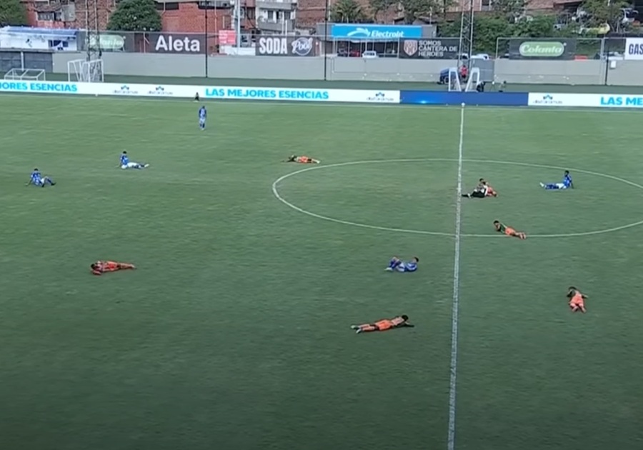 Nezapamćene scene u Kolumbiji: Pomahnitale ose u napadu! Igrači polegali na teren (VIDEO)
