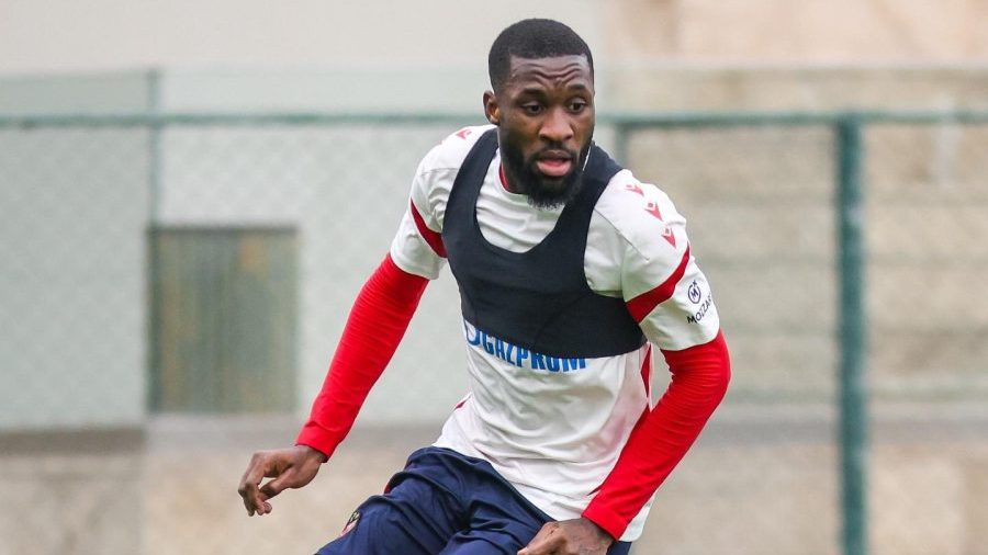 Zvezdi ne valja, Babiku zove hit Lige šampiona