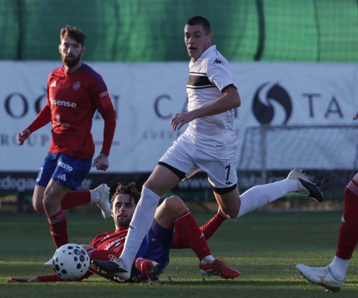 „Najlakše je odustati, upornost se uvek isplati“ – Marko Lekić o Teleoptiku, Partizanu i Nenadu Stojakoviću