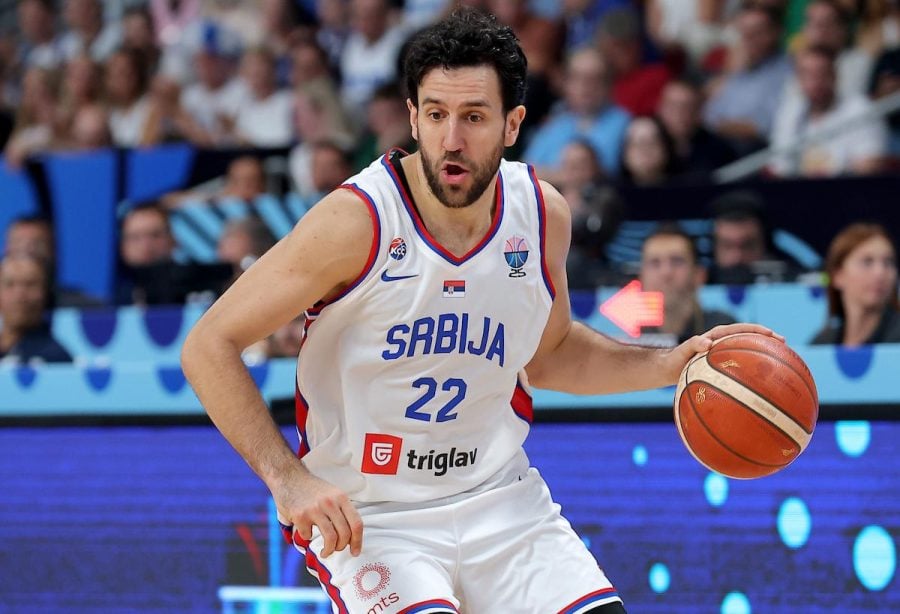 Ostoja Mijailović: Ponudio sam 10 miliona Vasi Miciću