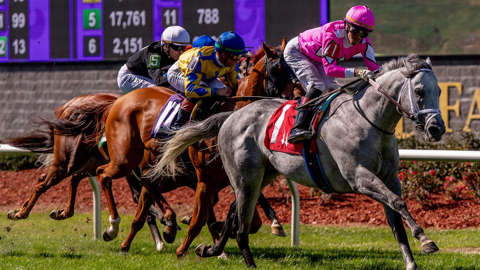 Šta je Saut Hermès? Modno-konjički spektakl u srcu Pariza